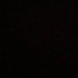 Meet your Posher, Logan